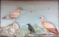 Azulejo con aves rapaces